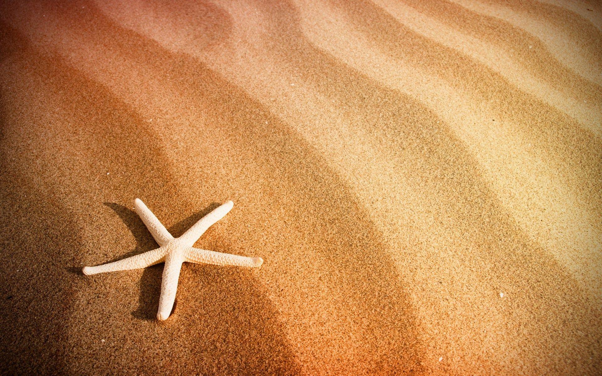 Sand Wallpapers Top Free Sand Backgrounds Wallpaperaccess