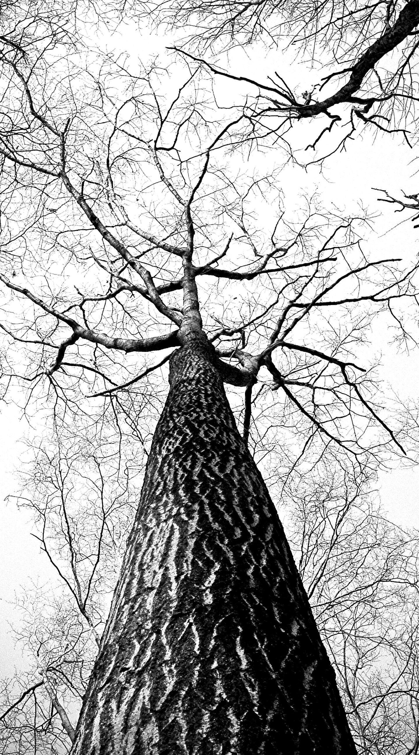 1438x2592 White Background Wallpaper iPhone