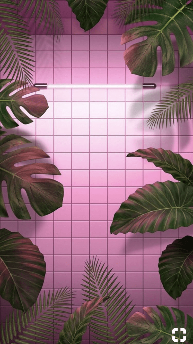 750x1334 Idea by Liudmyla Malushivska on Р. Pink wallpaper iphone