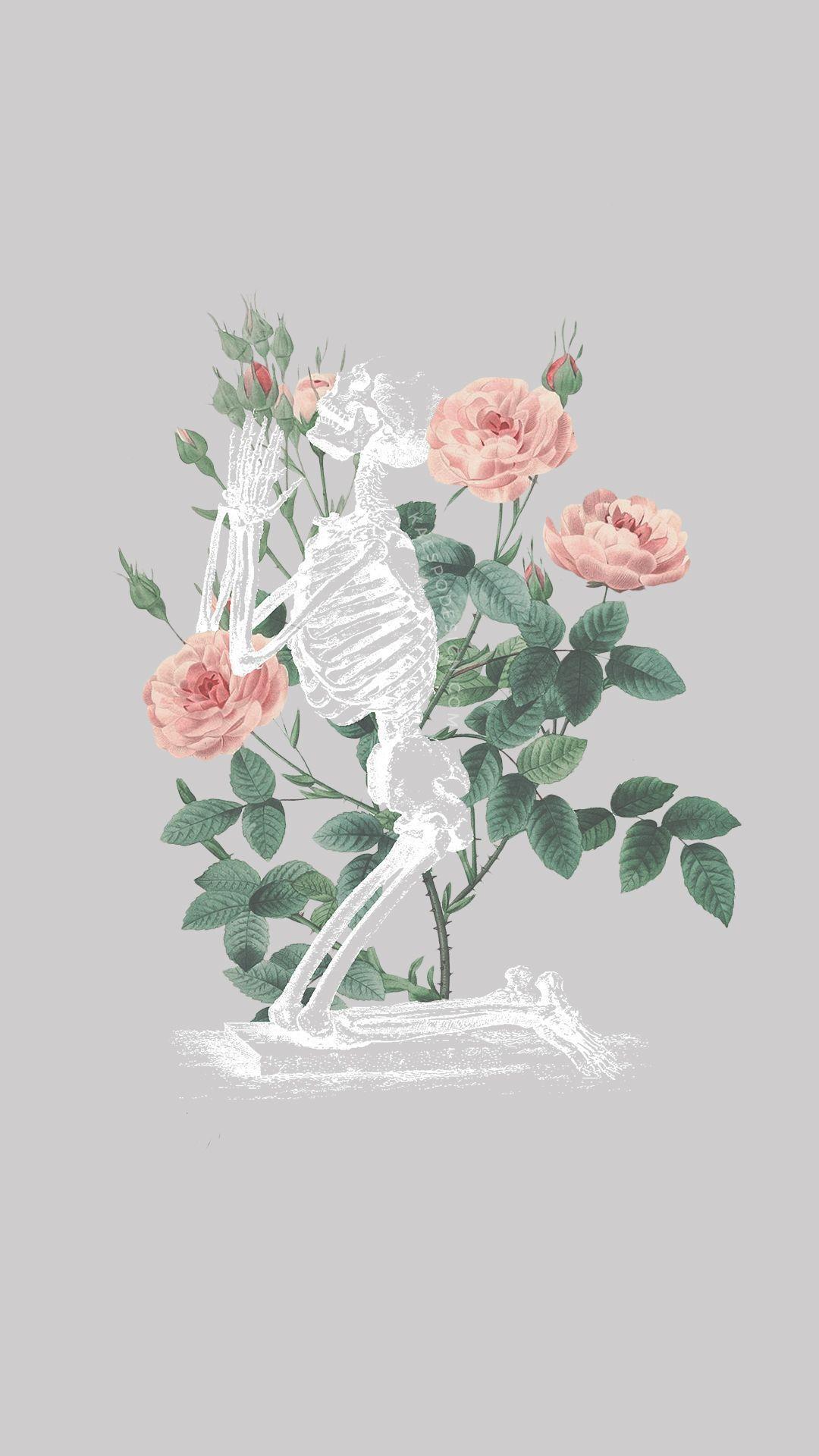 1080x1920 ✅ Skull, iPhone, Desktop HD Background