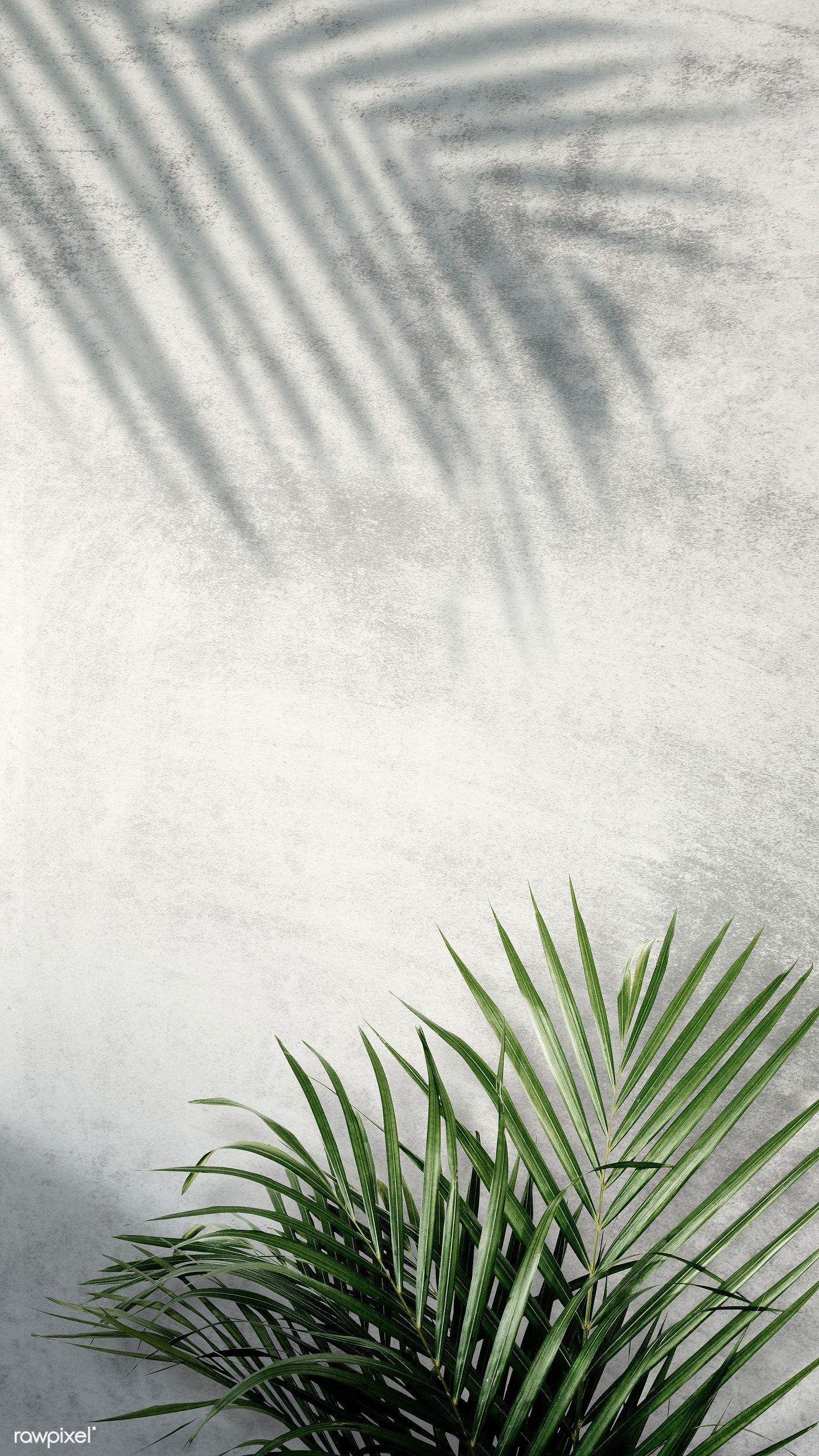 1400x2489 Download premium psd of Areca palm shadows on a gray wall 599964