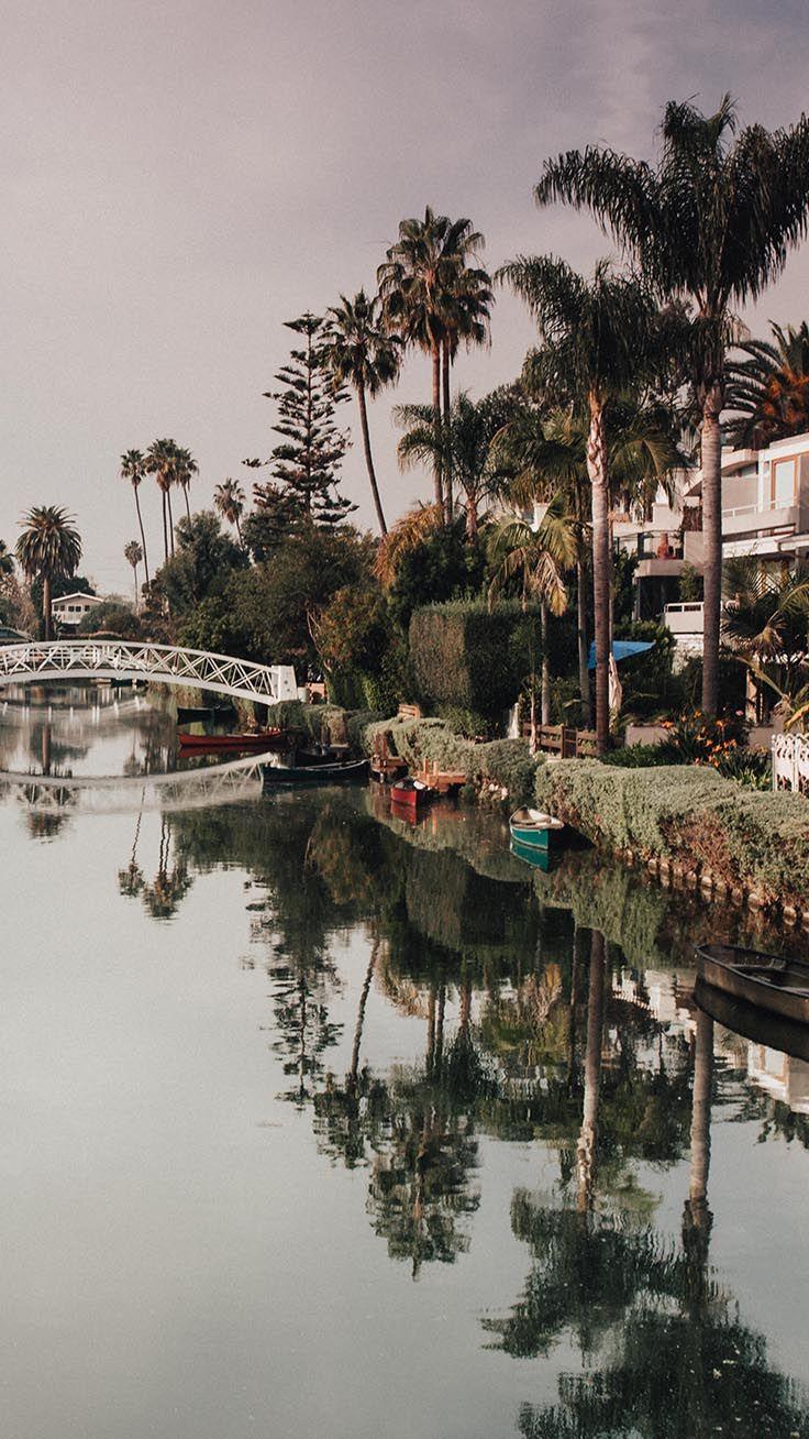 736x1308 Beautiful Los Angeles iPhone X Wallpaper