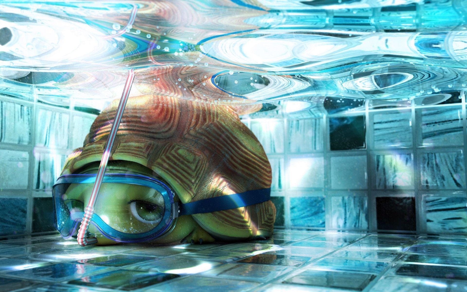 1920x1200 Cute Turtle Wallpaper