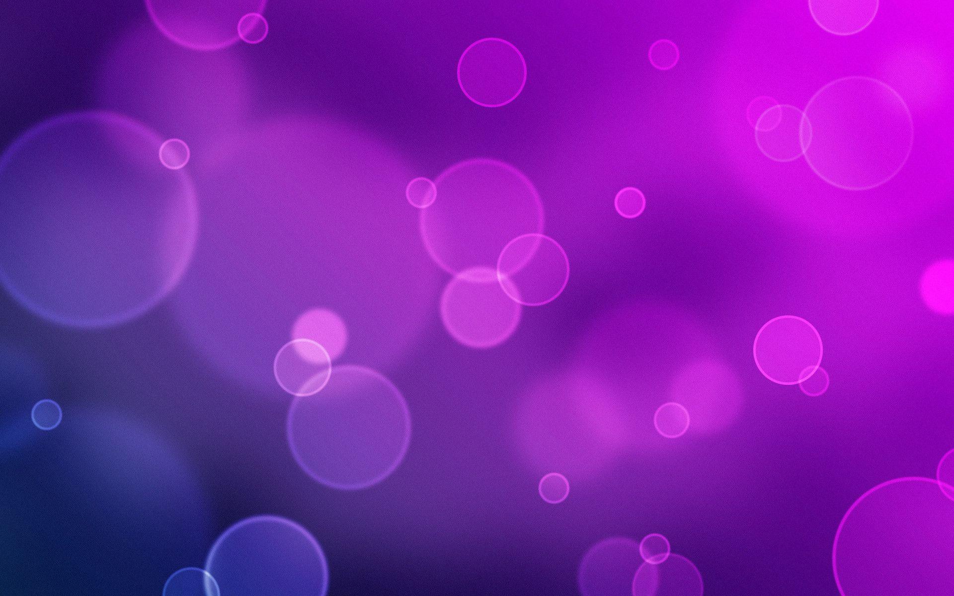 Abstract Purple Flowers Ultra HD Desktop Background Wallpaper for 4K UHD TV  : Widescreen & UltraWide Desktop & Laptop : Tablet : Smartphone