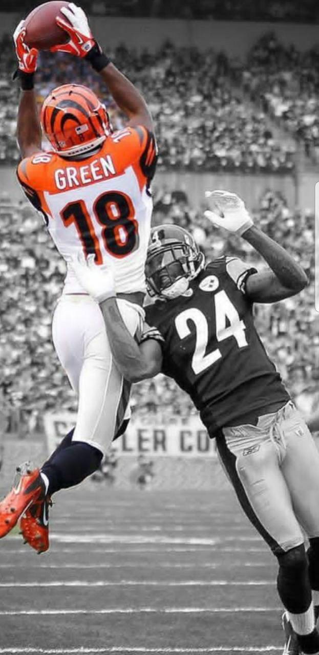 Bengals Wallpaper Discover more aj green, android, background