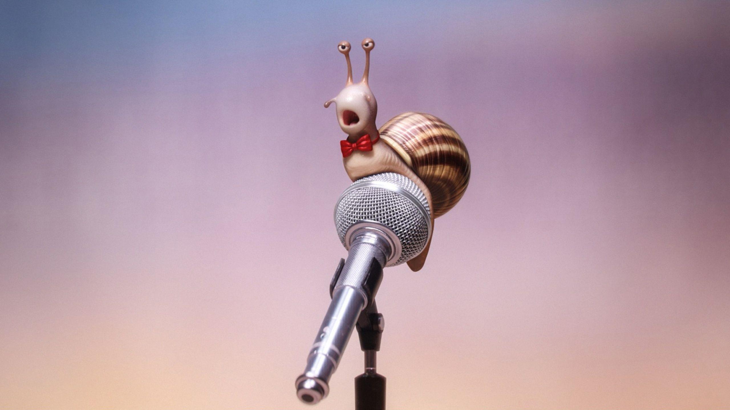 2560x1440 Sing Movie Snail Wallpaper