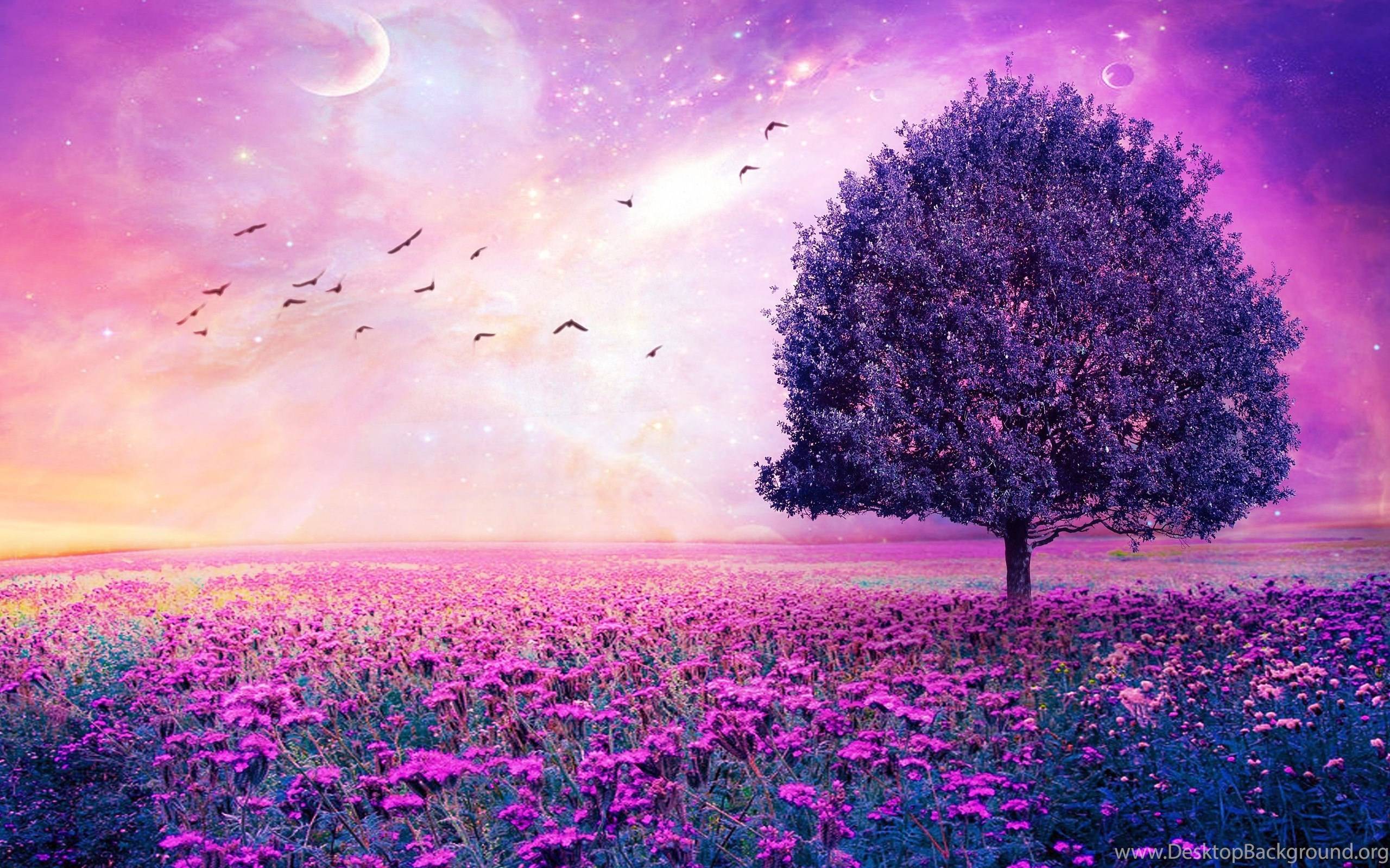 Purple Landscape Wallpapers - Top Free Purple Landscape Backgrounds