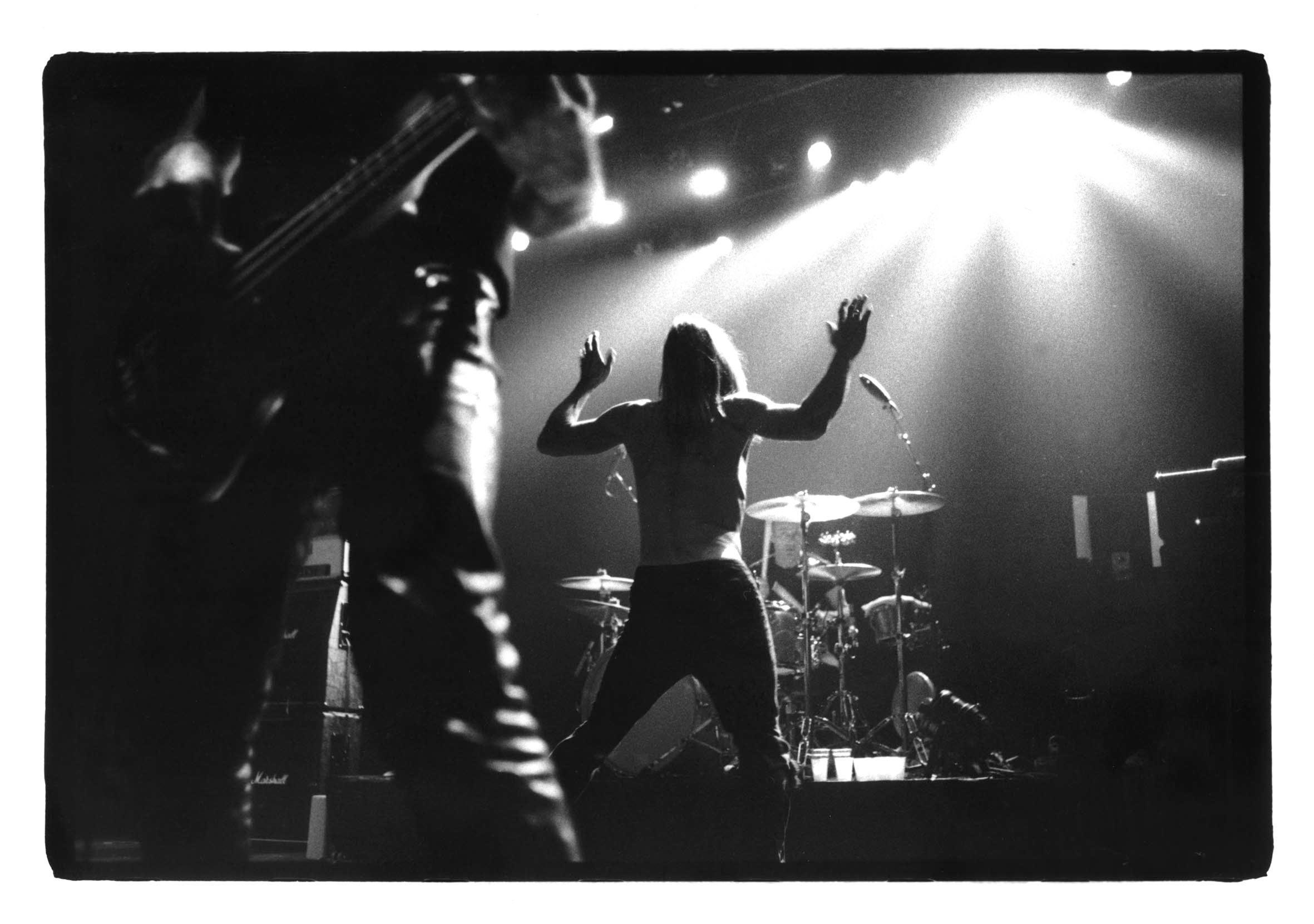 Iggy Pop Wallpapers - Top Free Iggy Pop Backgrounds - WallpaperAccess