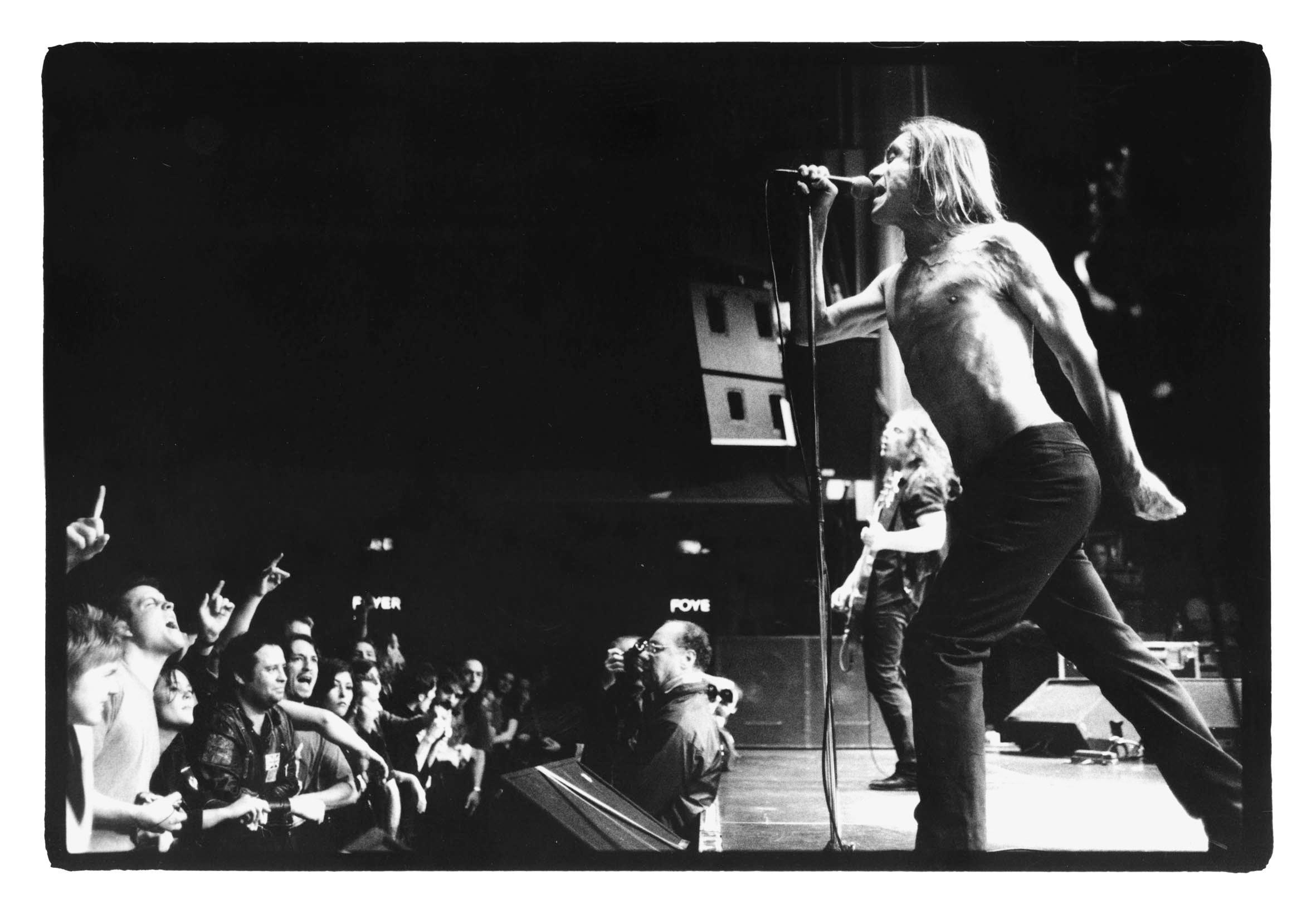 2362x1632 Iggy Pop HD Wallpaper