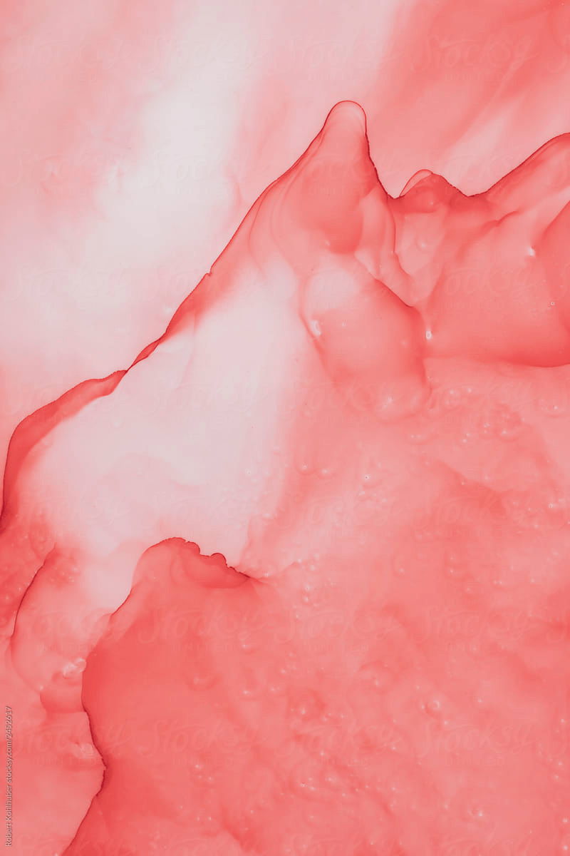 200 Coral Background s  Wallpaperscom