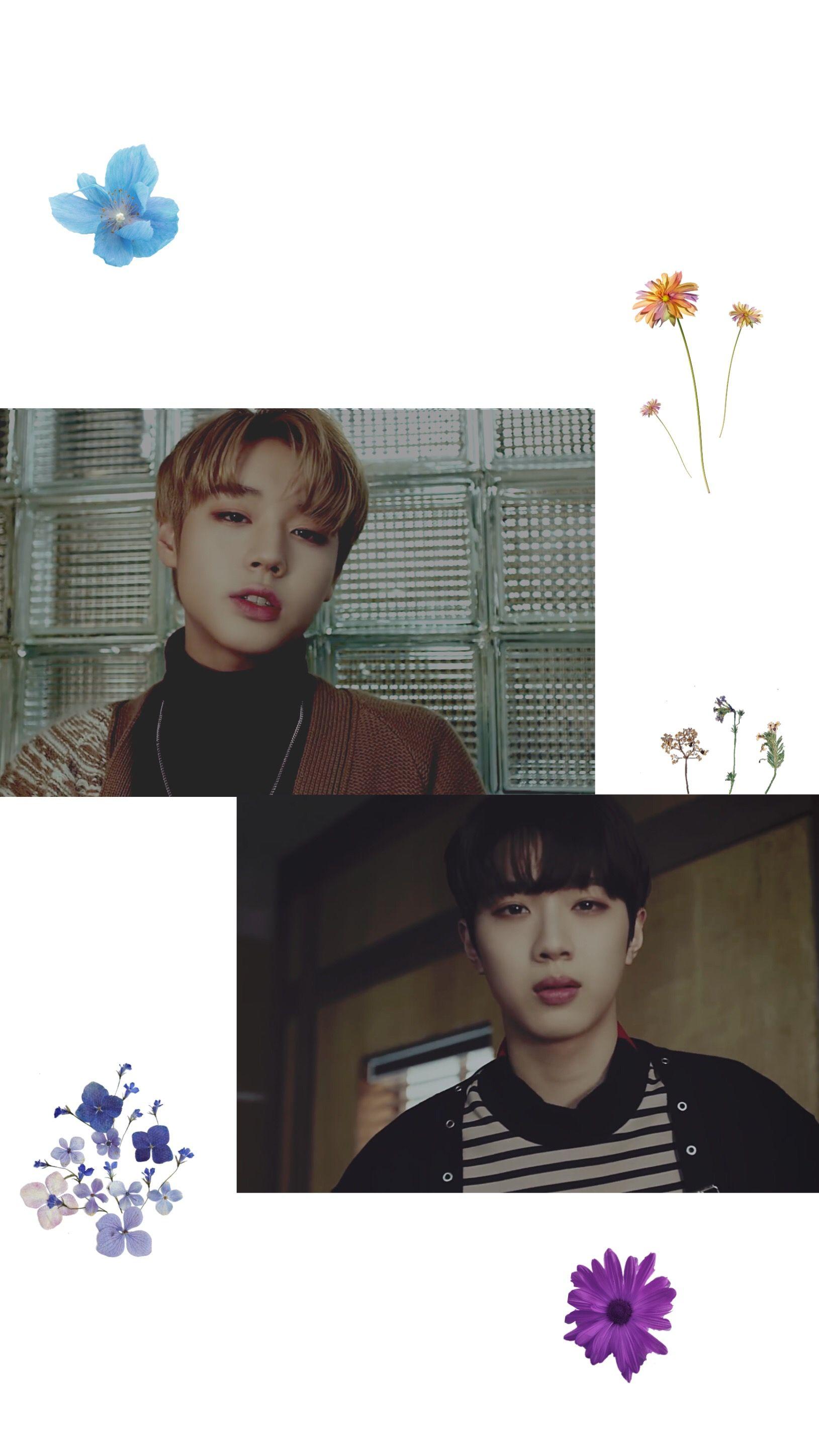 1629x2896 wannaone wallpaper kuanlin jihoon parkjihoon laiguanlin