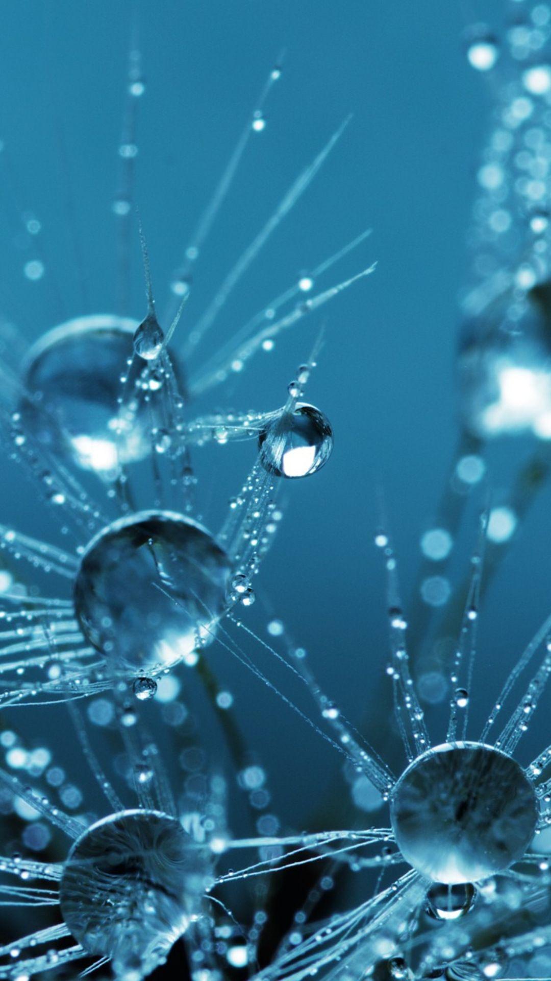 Water Drops HD Wallpapers APK for Android Download