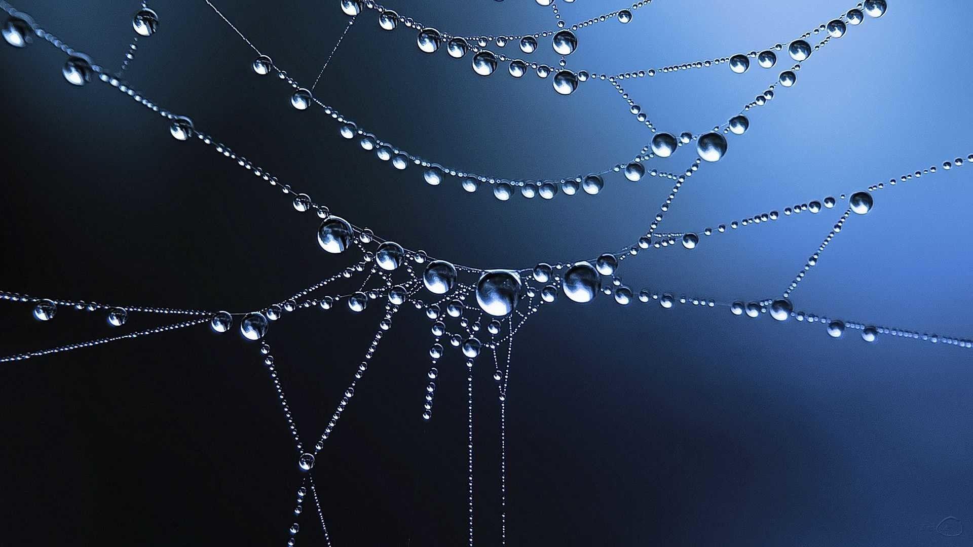 1920x1080 Water Drop Wallpaper