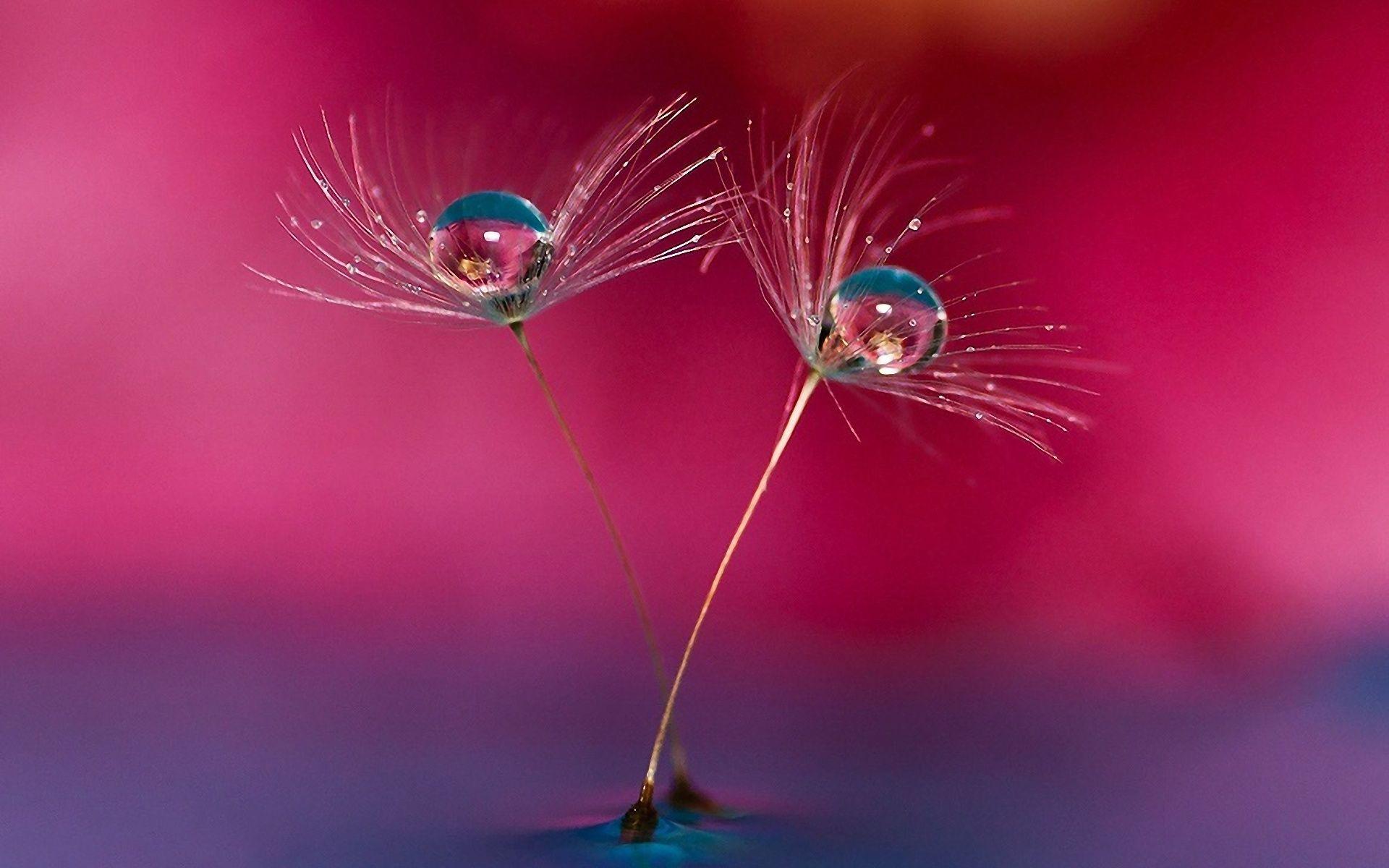 1920x1200 Beautiful Colorful Water Drops Wallpaper Need Fun