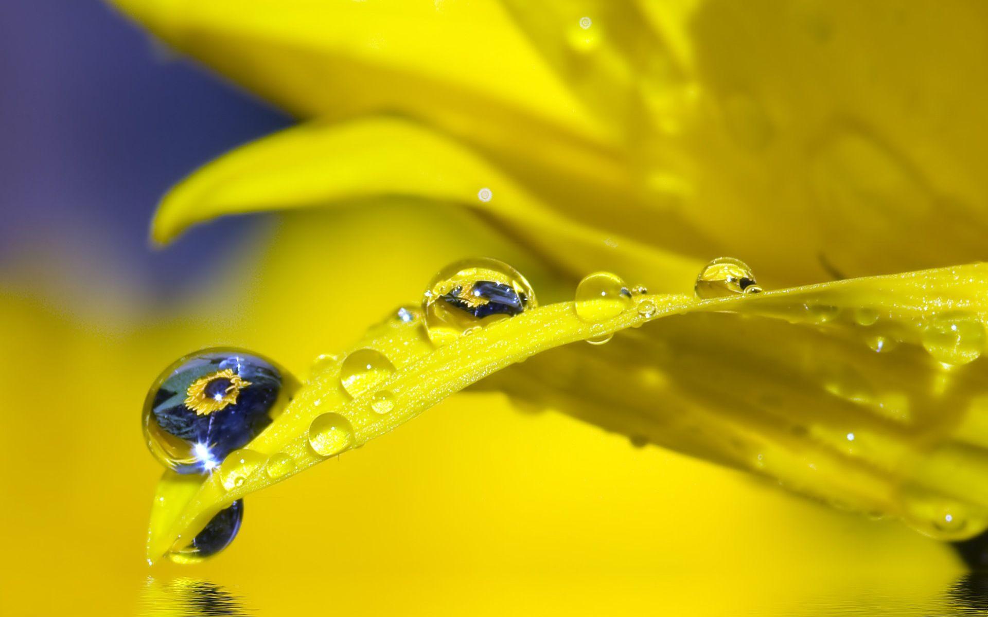 1920x1200 Wallpaper Water Drop Image Background