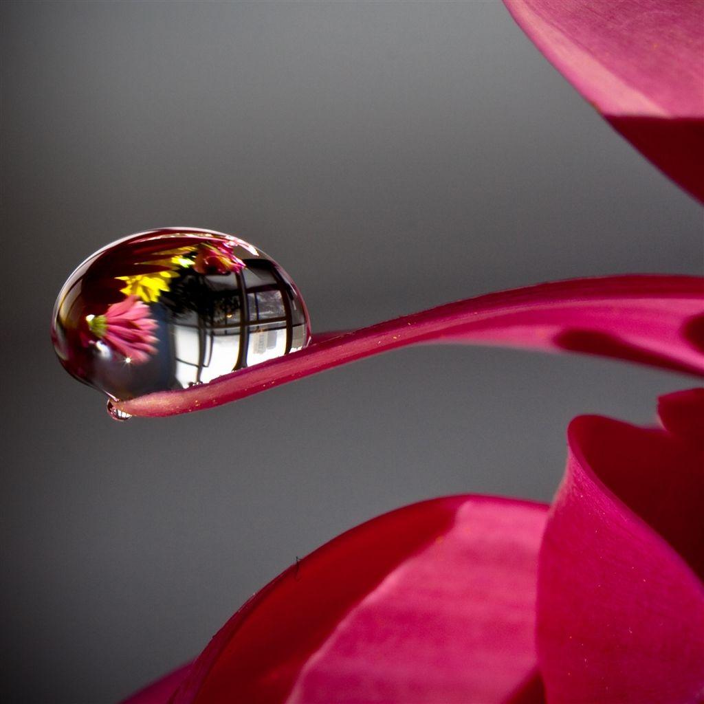 1024x1024 Water Drop Reflection iPad Air Wallpaper Drop Wallpaper