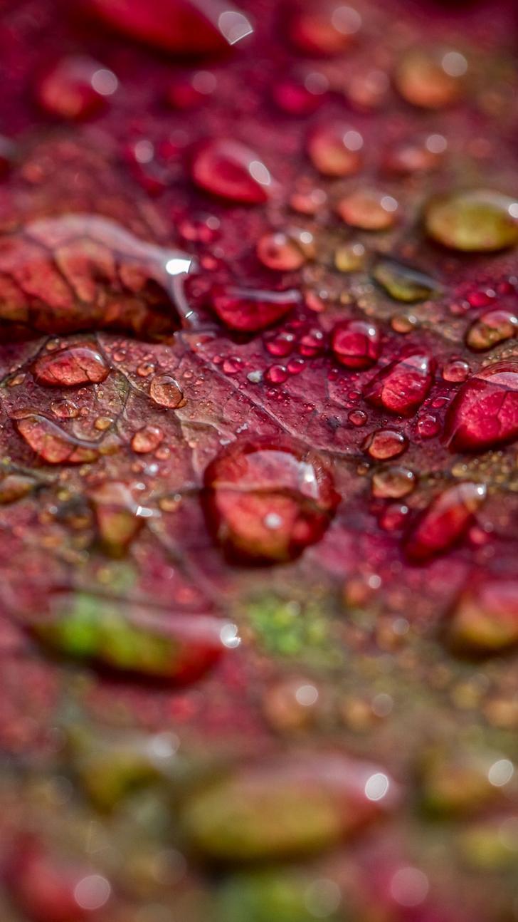 728x1294 1080p Wallpaper, Water drops