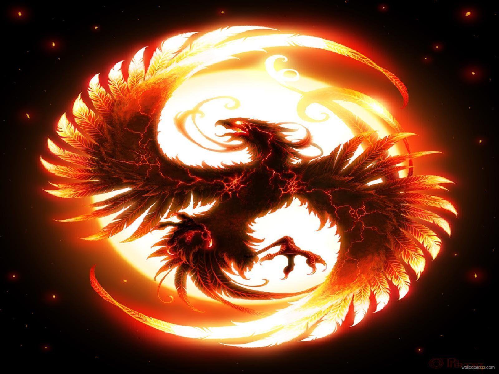 Orange Dragon Wallpapers - Top Free Orange Dragon Backgrounds