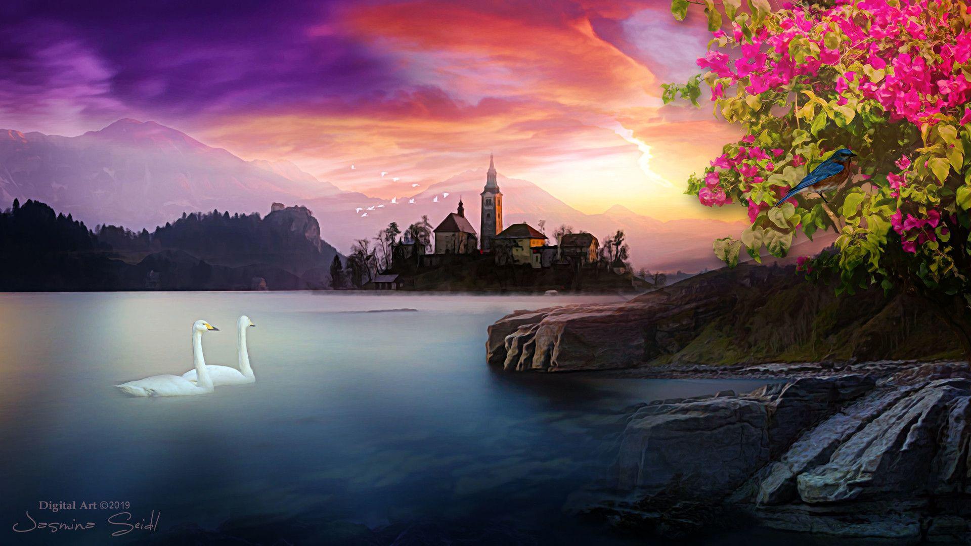 Swan Lake Wallpapers - Top Free Swan Lake Backgrounds - WallpaperAccess