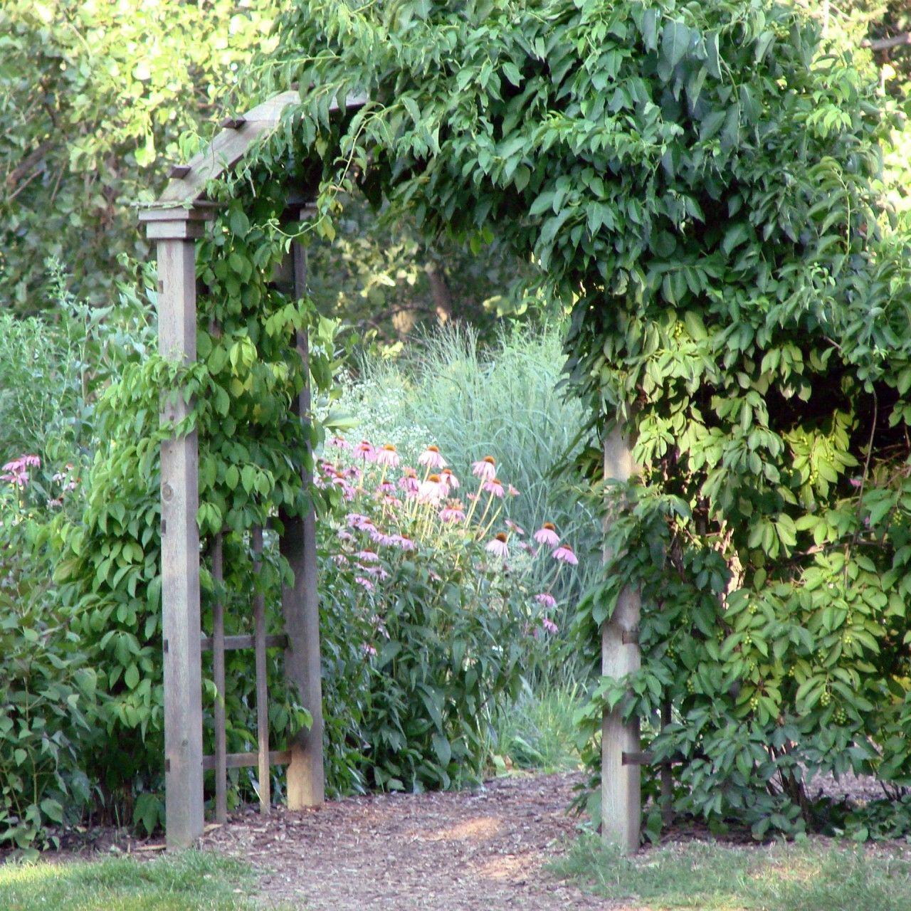 1280x1280 Secret garden Wallpaper for iPad and Galaxy Tab & iPad Wallpaper