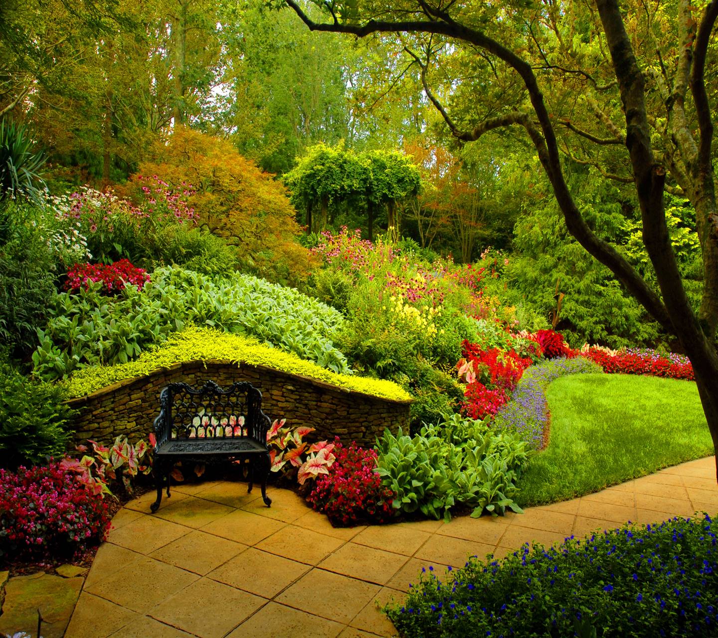 1440x1280 Secret garden Wallpaper by ZEDGE™