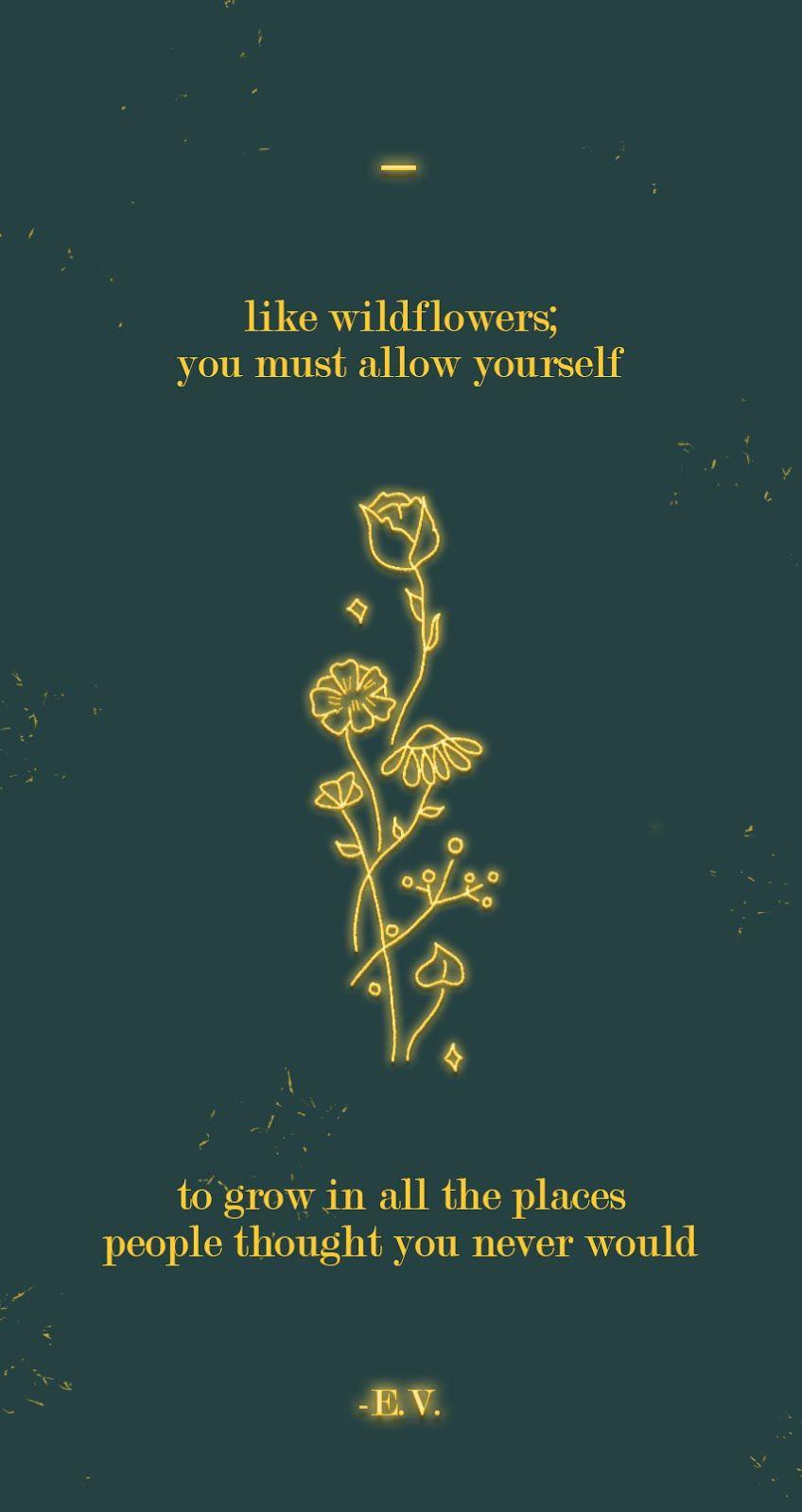 71 Lock Screen Quotes for Phone Wallpaper - Darling Quote