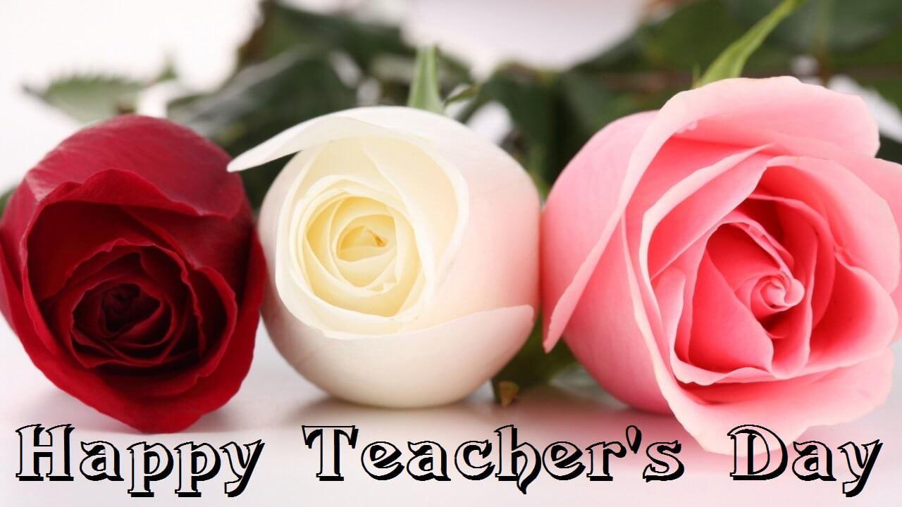 1280x720 Happy Teachers Day Wishes Roses Flowers HD Wallpaper