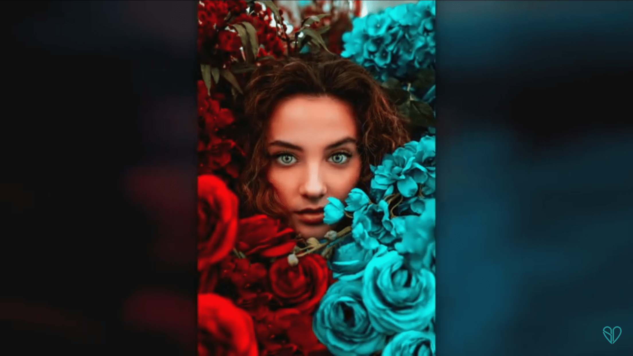 Sofie Dossi Wallpapers - Top Free Sofie Dossi Backgrounds - WallpaperAccess