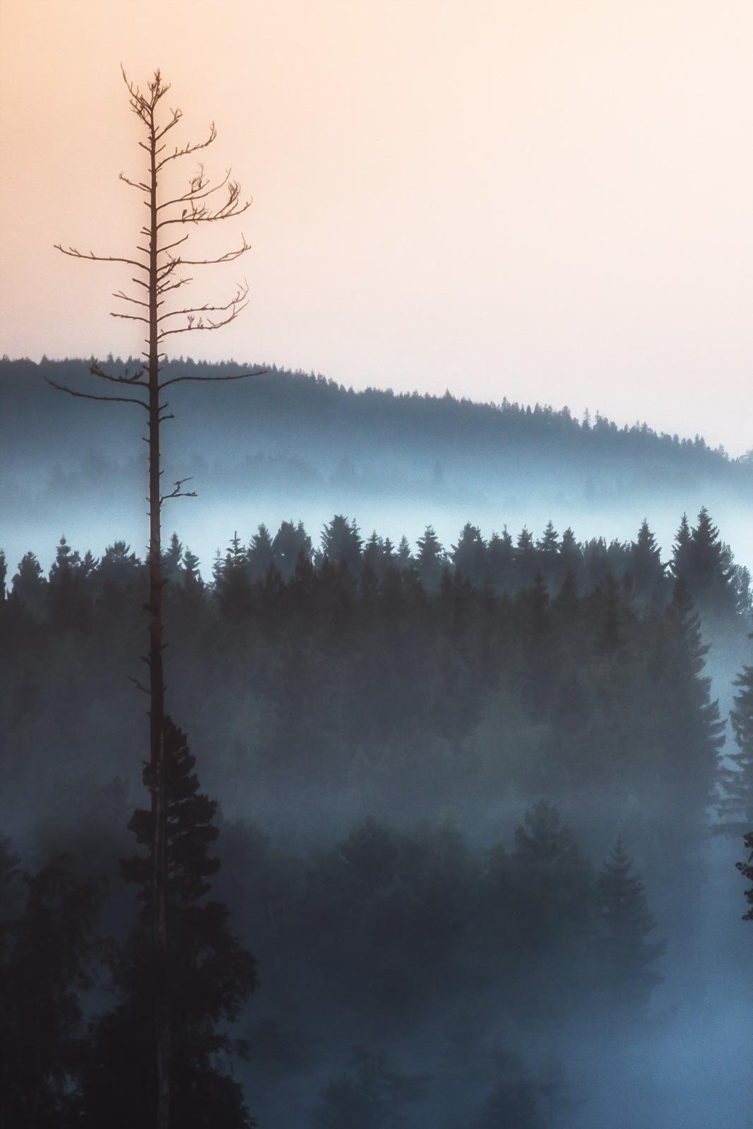 1066x1598 Nature Phone Wallpaper Full HD For Nokia Download