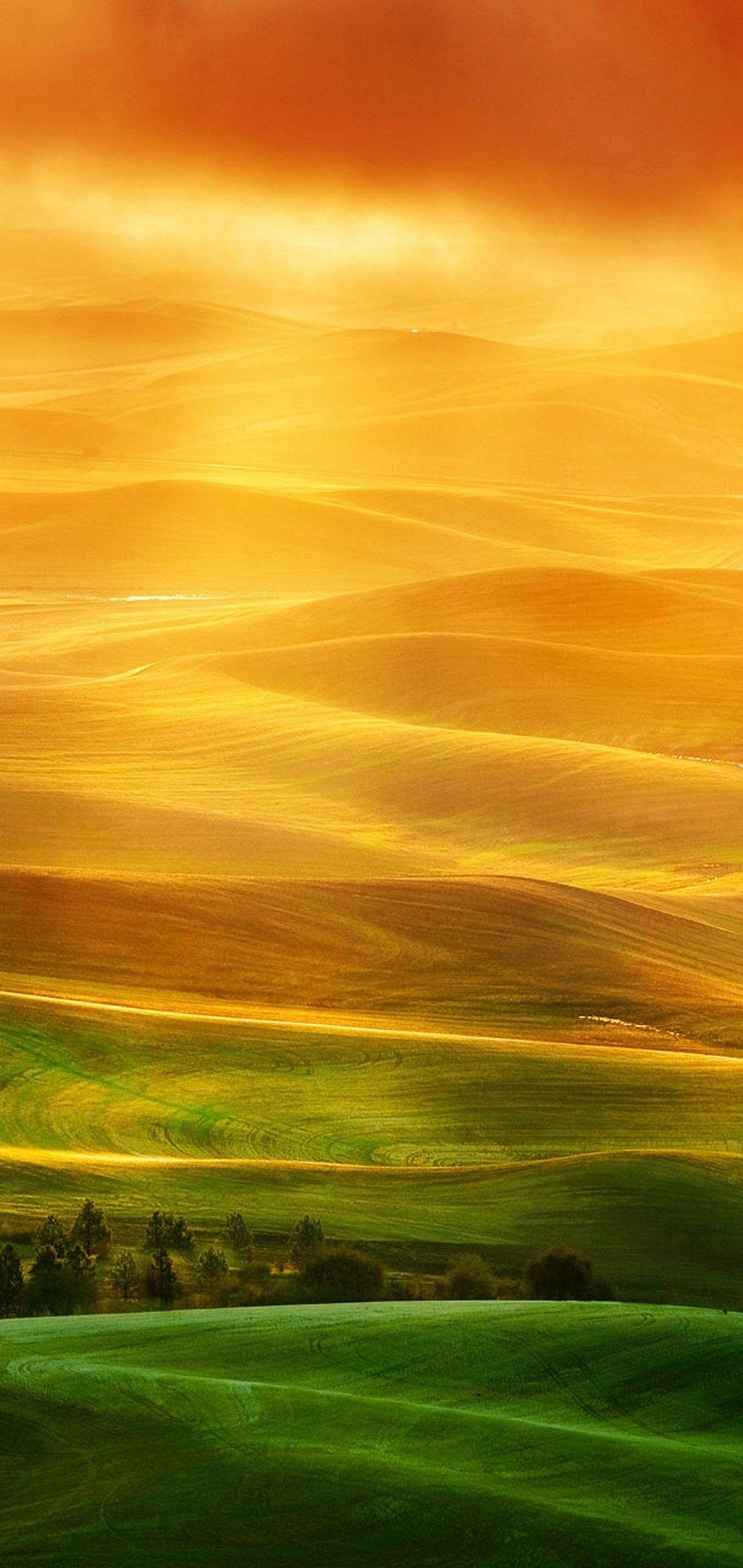 1080x2280 Background HD Wallpaper