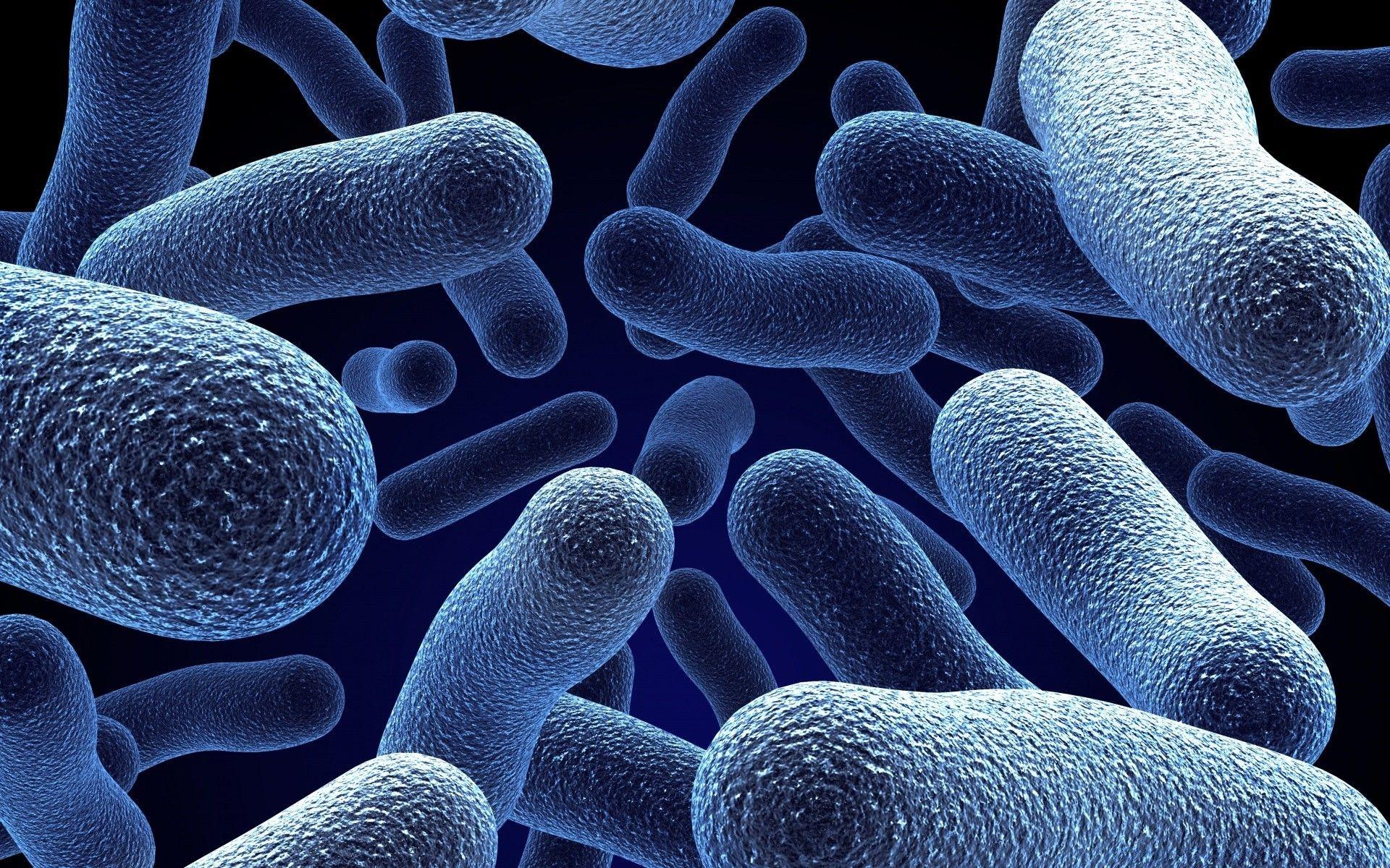 1920x1200 Microorganisms 3D