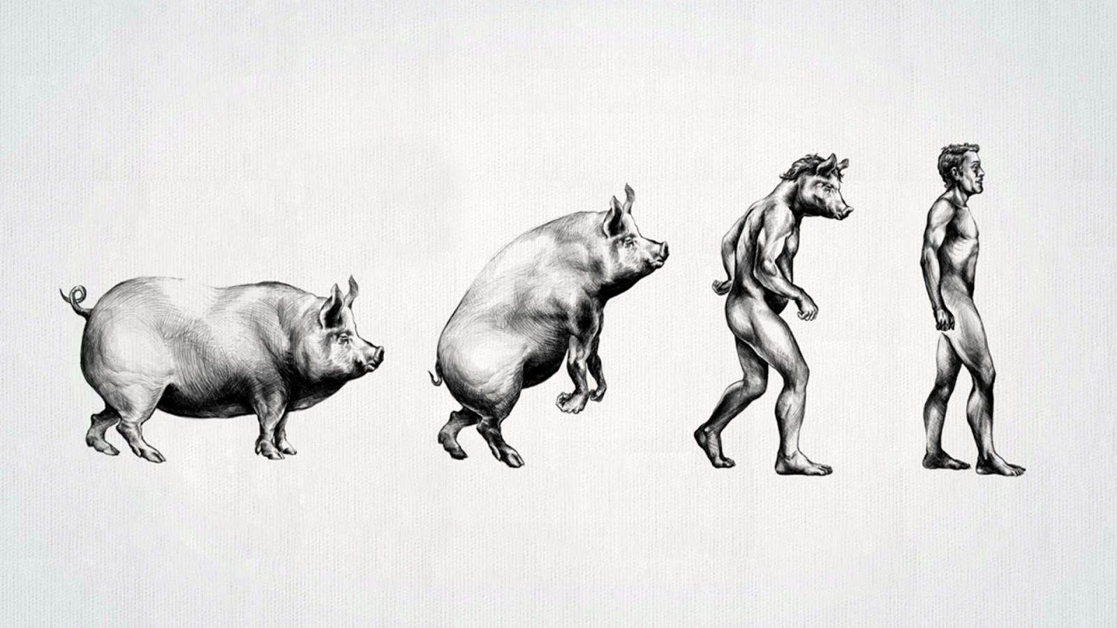 1600x900 HD WALLPAPERS: Funny human evolution HD wallpaper (1920 x 1080)