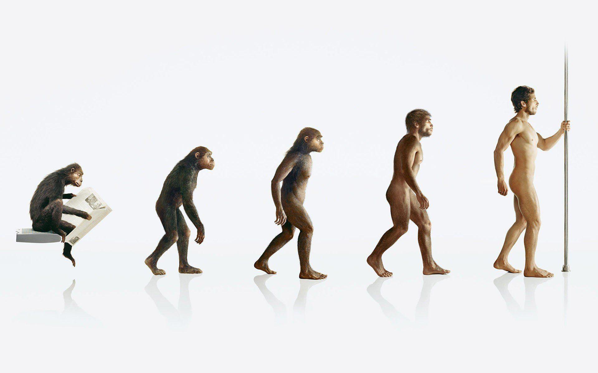 1920x1200 Human evolution apes wallpaperx1200