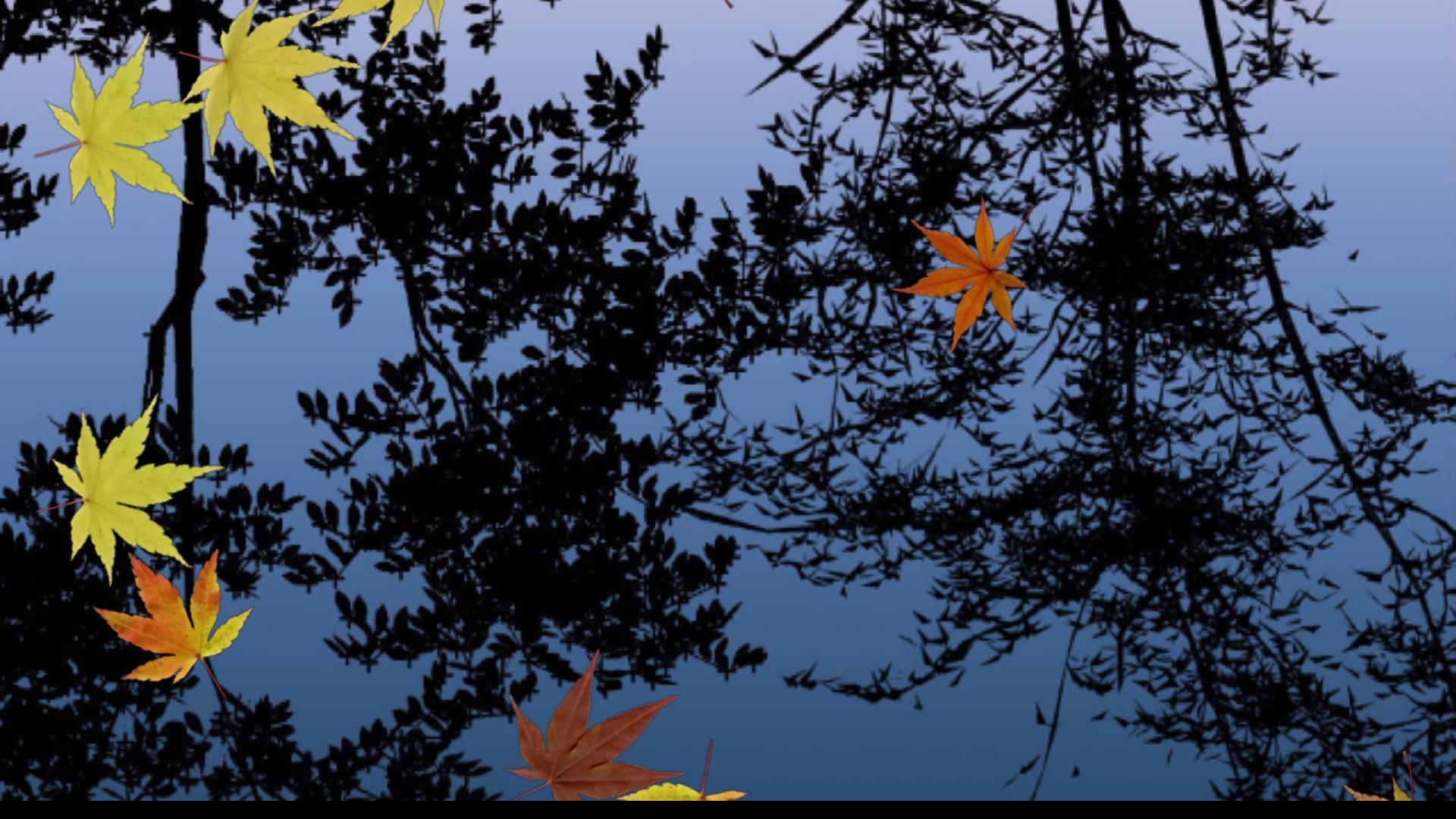 1920x1080 Live Wallpaper for Nokia Lumia