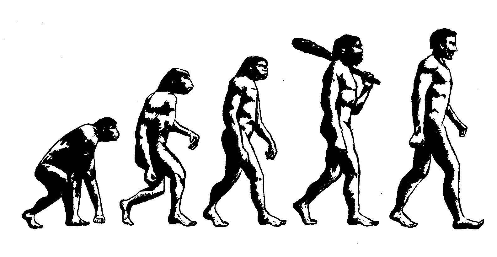 Human Evolution Wallpapers Top Free Human Evolution Backgrounds Wallpaperaccess