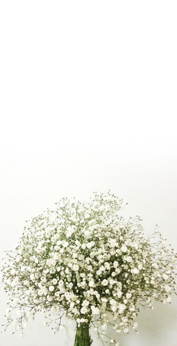 736x1436 baby's breath, love U Yoonpyo Hong. Nhiếp ảnh về cái đẹp, Phong