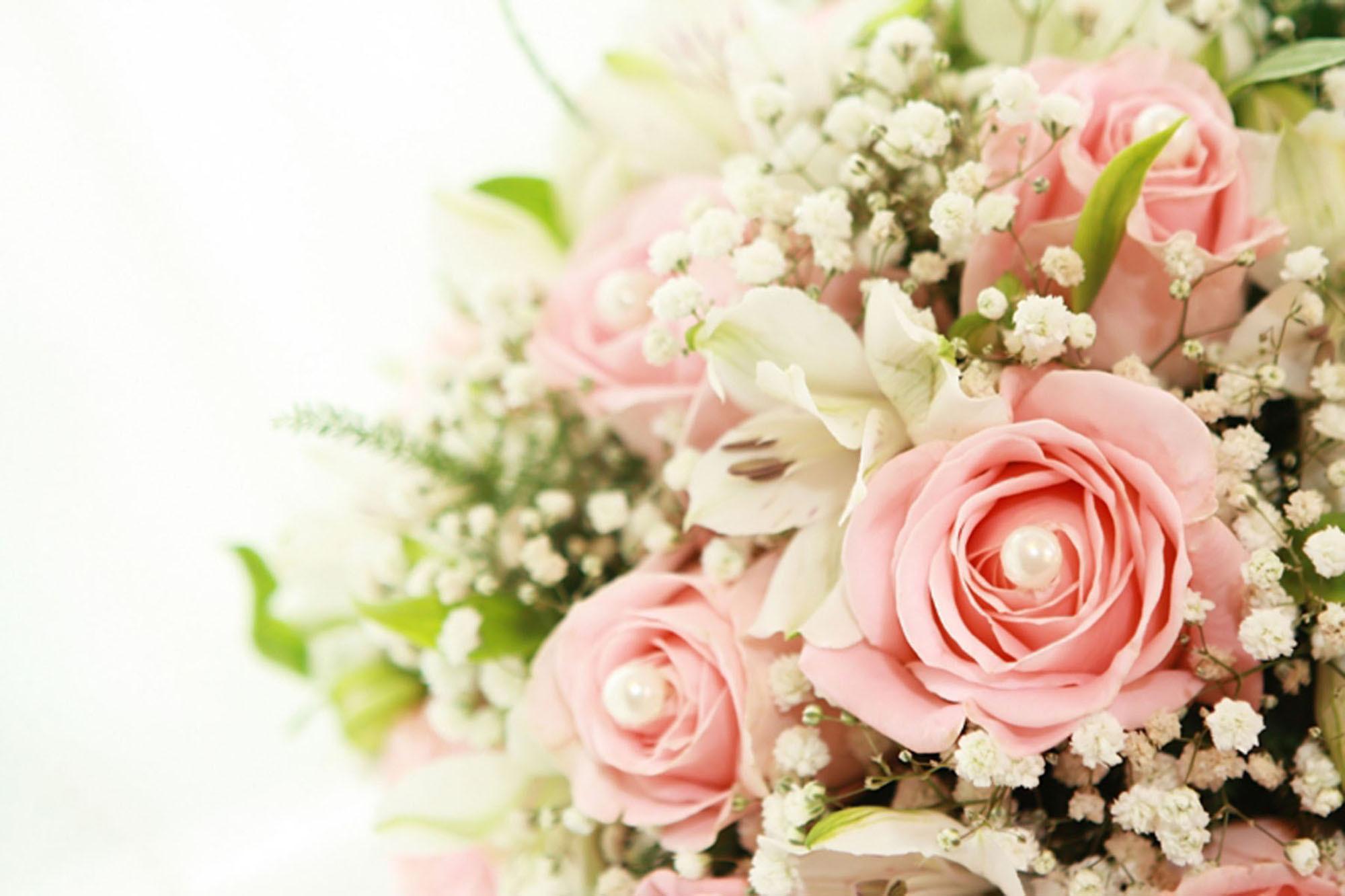 2000x1332 Baby's Breath HD Wallpaper and Background Image