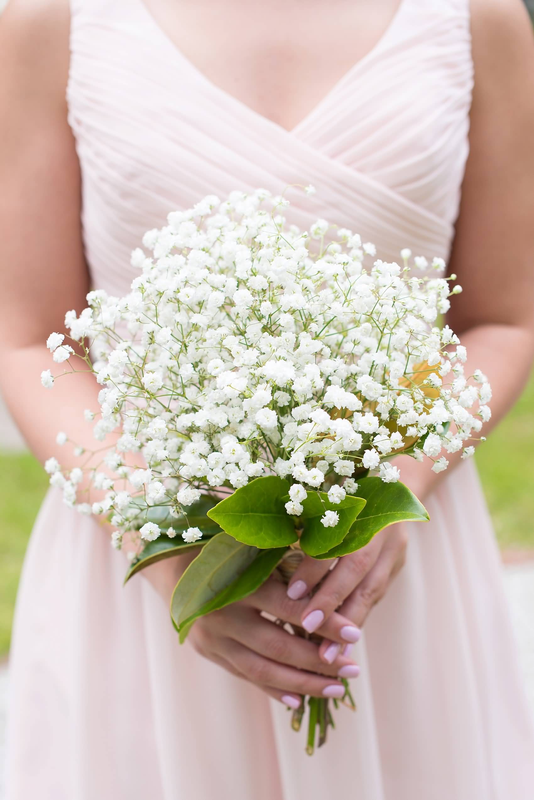 1700x2547 Lovely Baby's Breath Flower, Picture, Image & Wallpaper