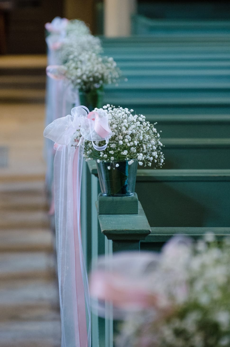 970x1464 white baby's breath free image