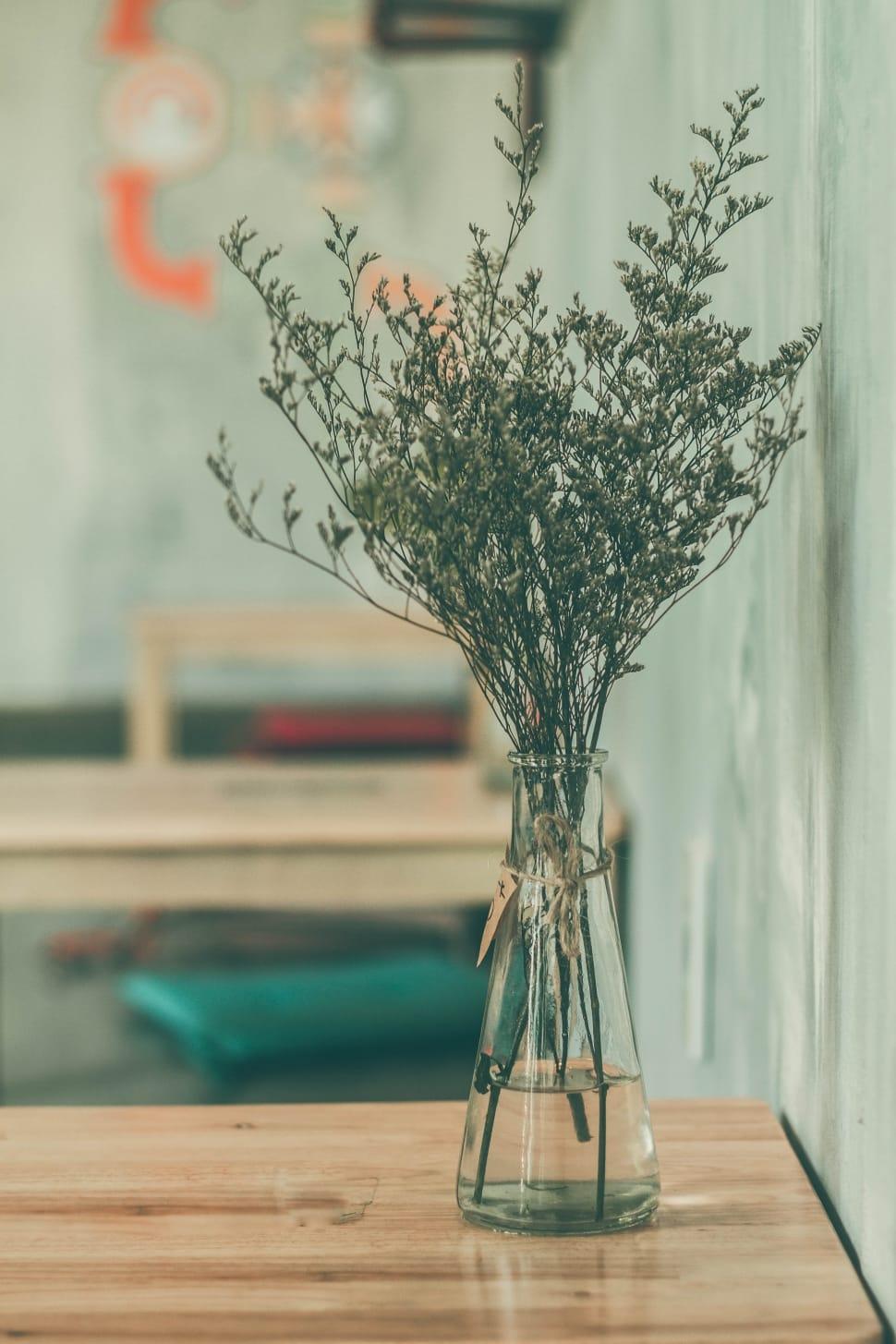 970x1455 focus photo of baby's breath flower bouquet on a clear glass vase