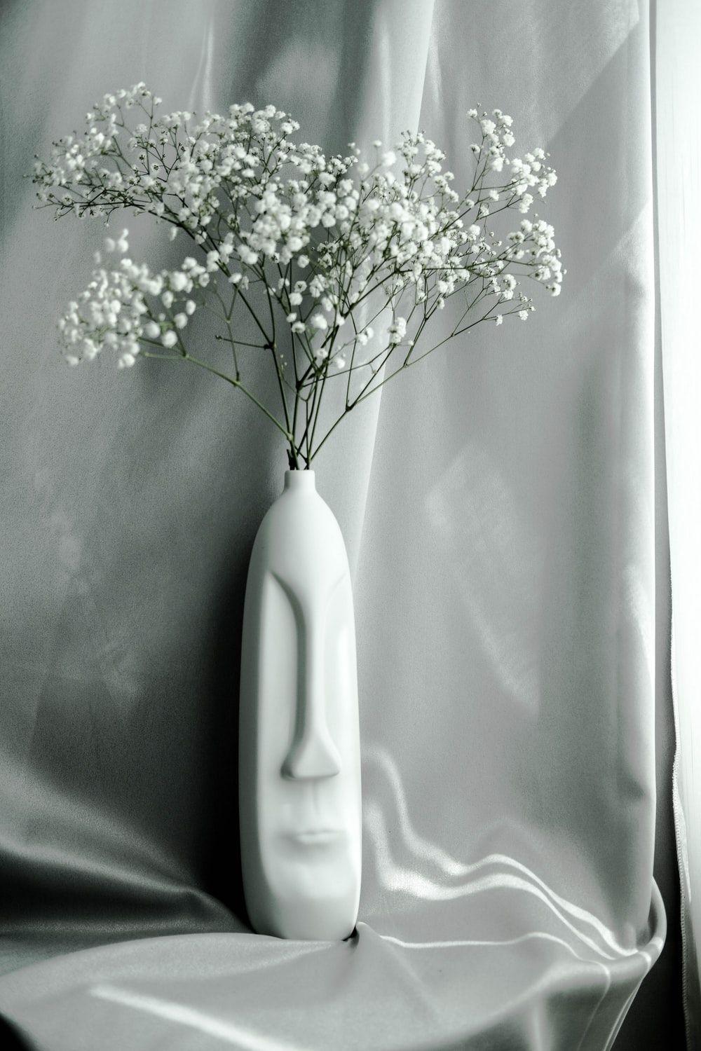 1000x1500 Babys Breath Picture. Download Free Image
