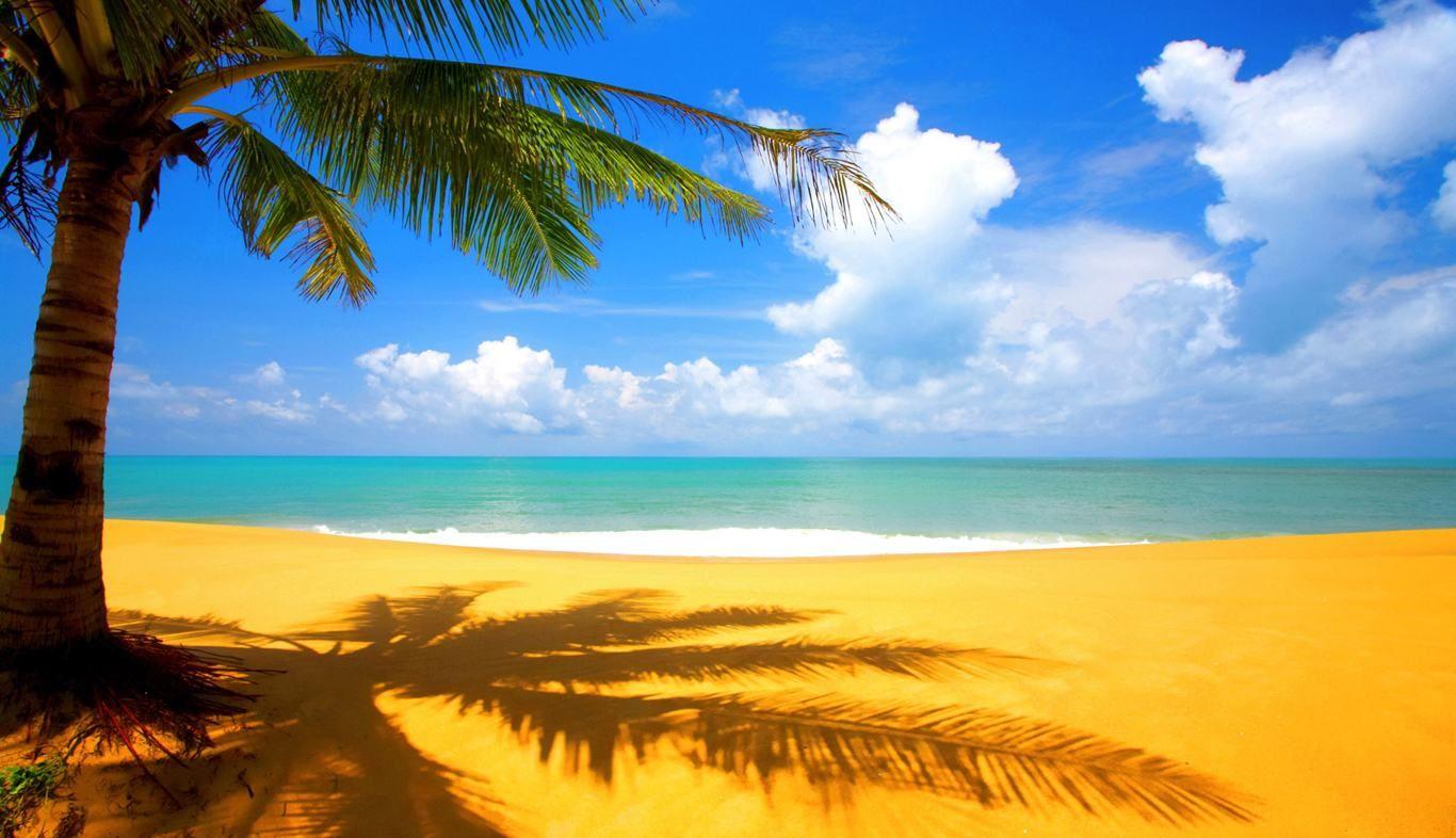 1366x786 1366X786 Free HD Wallpaper