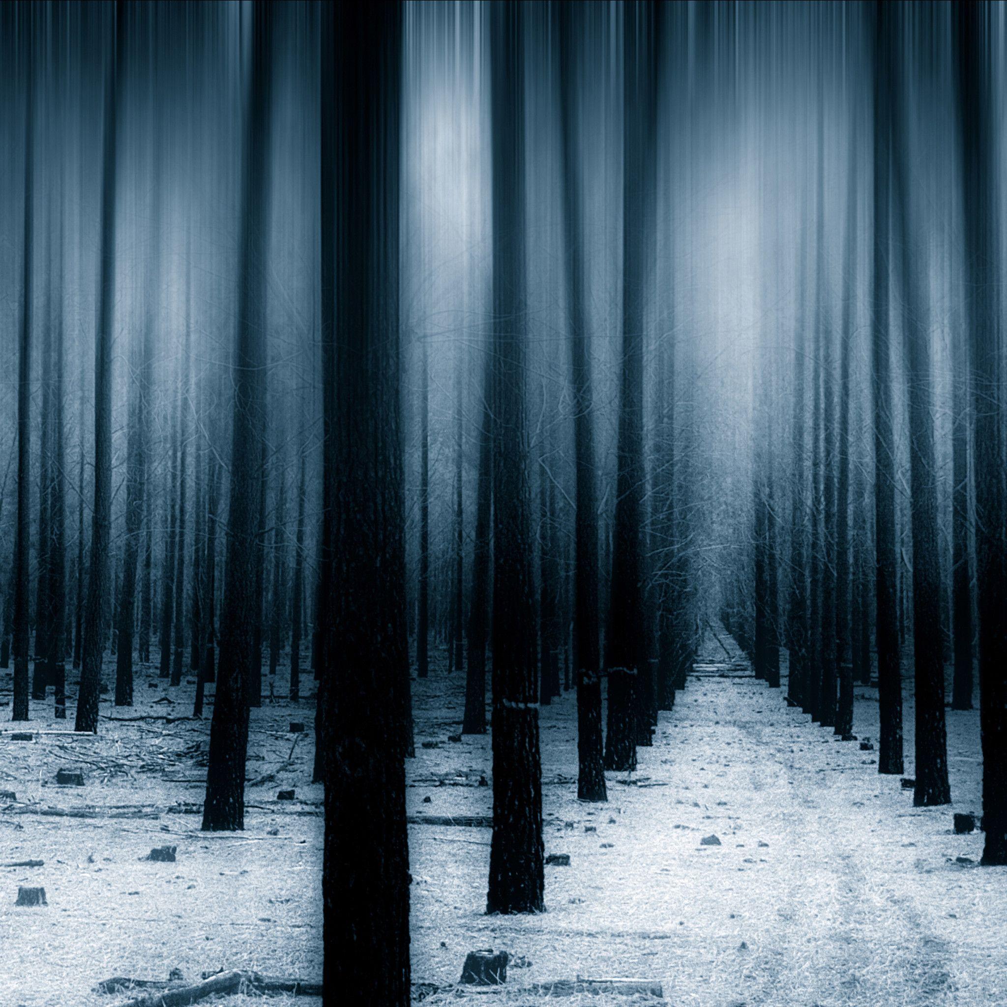 Dark Winter Wallpapers - Top Free Dark Winter Backgrounds - WallpaperAccess