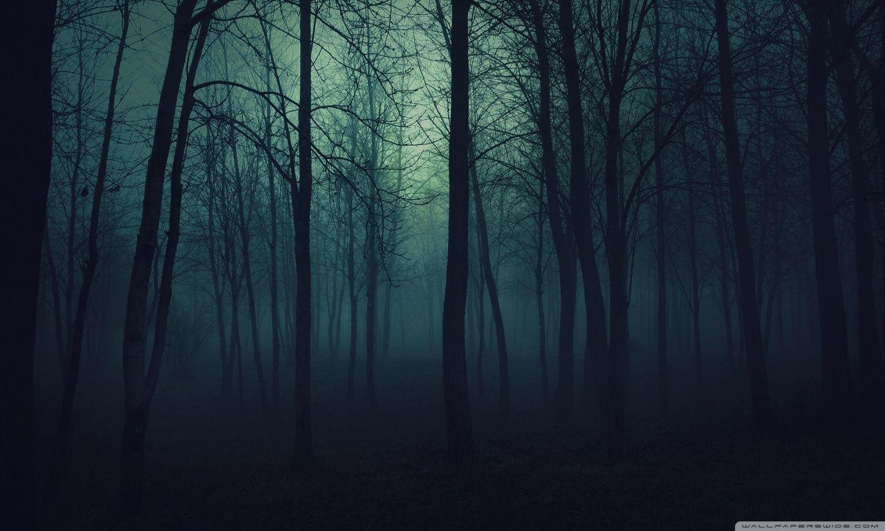 1280x768 Dark Winter Forest Wallpaper Full HD #dark #winter #forest