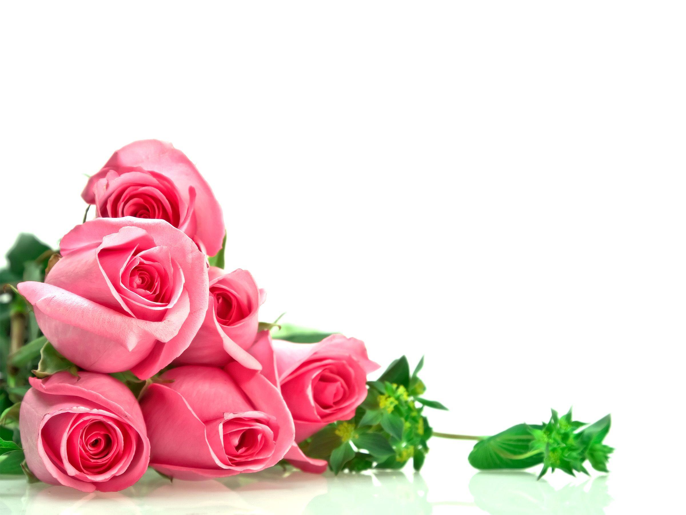 Florist Wallpapers - Top Free Florist Backgrounds - WallpaperAccess