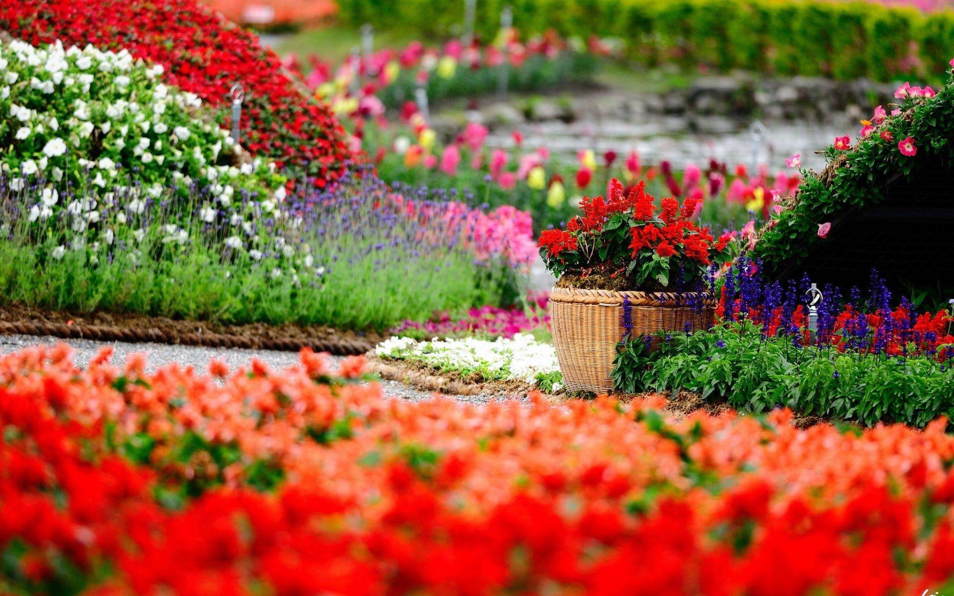 Florist Wallpapers - Top Free Florist Backgrounds - WallpaperAccess