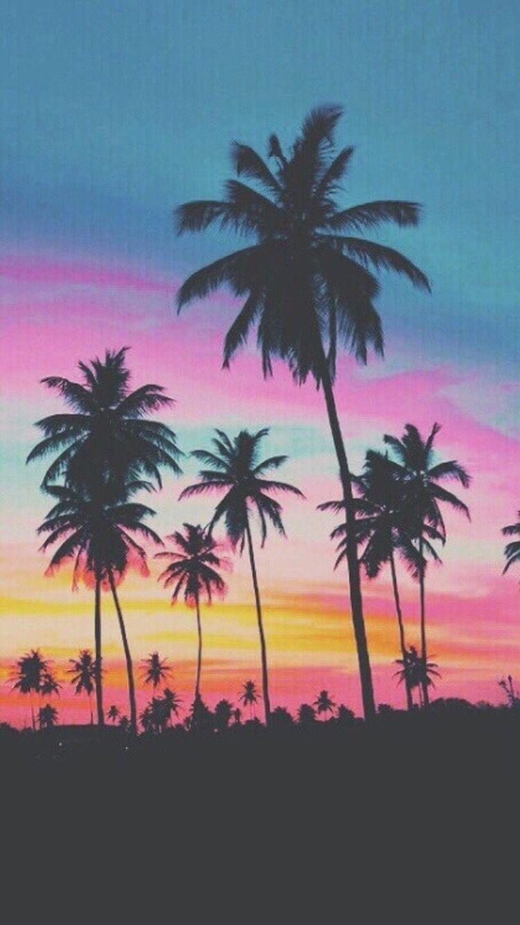 750x1334 Palm Trees IPhone 6 6s Wallpaper 6 Wallpaper Palm Trees