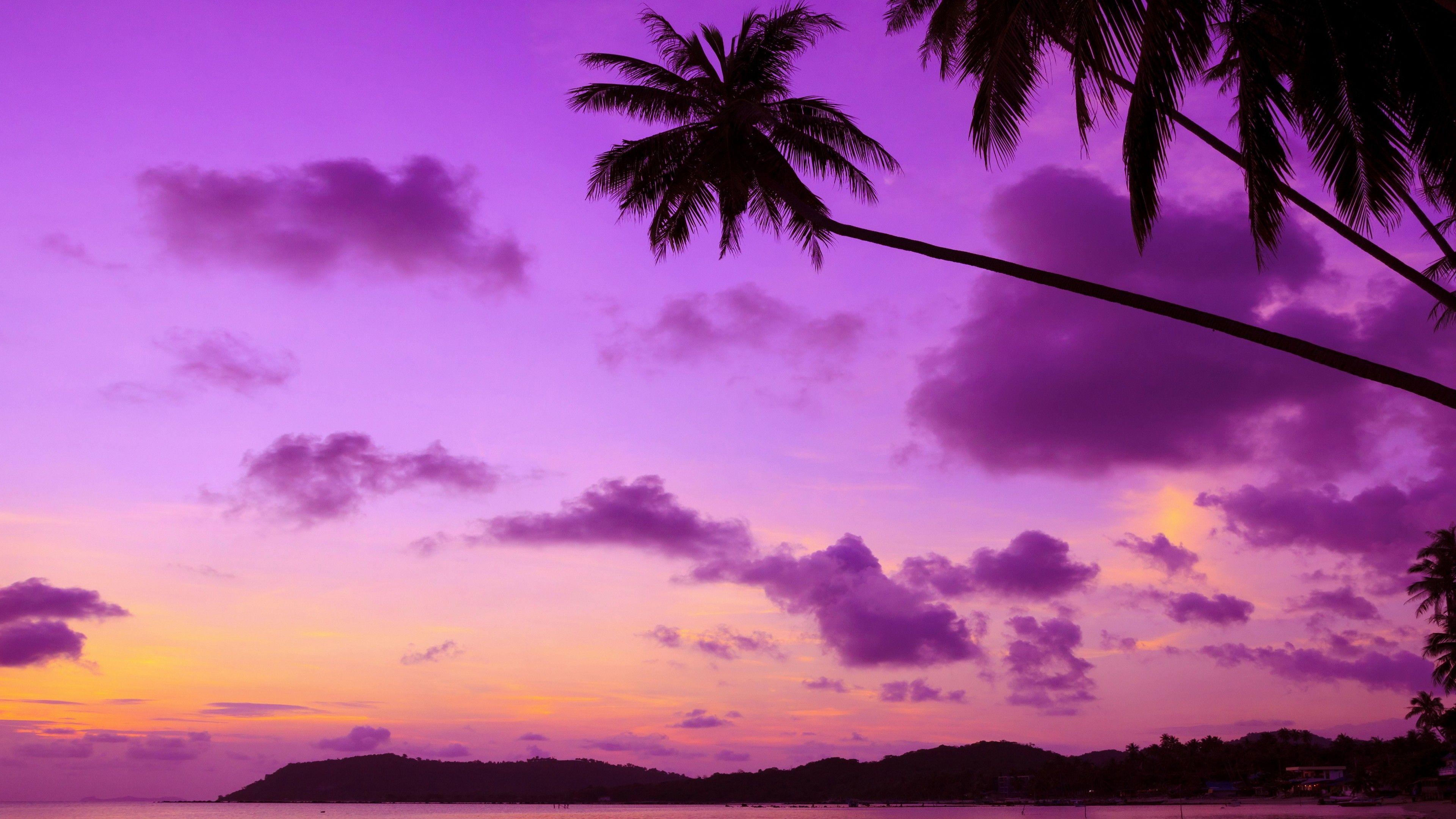 3840x2160 Wallpaper Thailand, 4k, 5k wallpaper, beach, palms, shore, sunset