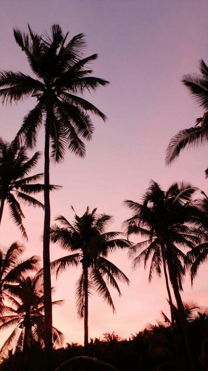 720x1280 Palms wallpaper sunset пальмы обои закат H. Пейзажи