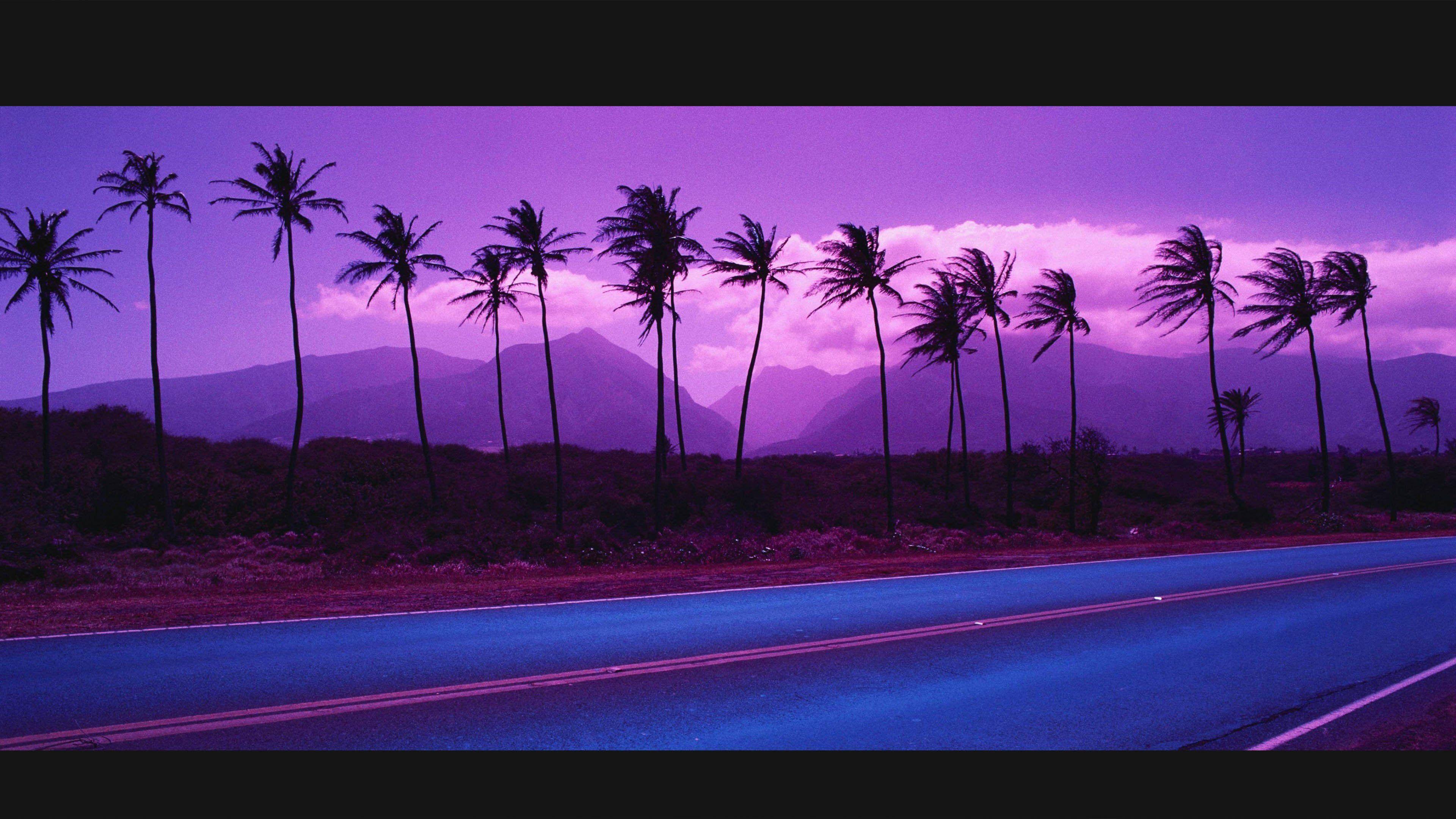 3840x2160 palms 4K wallpaper for your desktop or mobile screen free